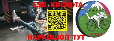 прущие грибы Анжеро-Судженск