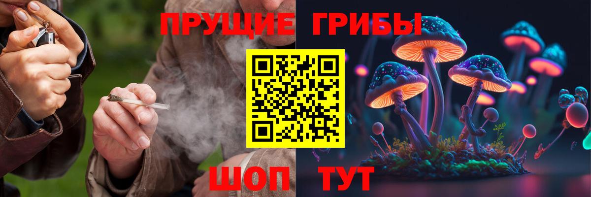 Псилоцибиновые грибы Psilocybine cubensis Добрянка